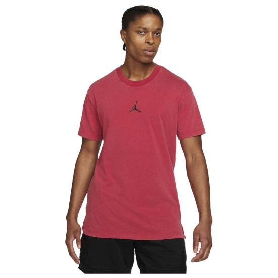 Jordan Ανδρική κοντομάνικη μπλούζα DF Air Dry GFX
